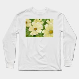 Cosmos bipinnatus  &#39;Lemonade&#39;  Cosmea  Mexican aster Long Sleeve T-Shirt